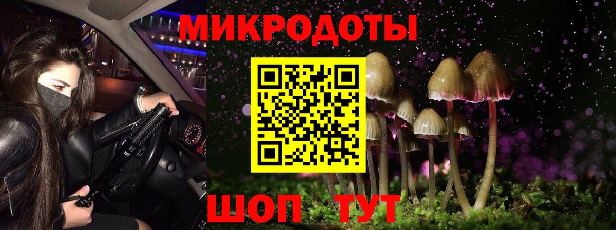 Ишим  Псилоцибиновые грибы мицелий  Вход с VPN  Галлюциногенные грибы MAGIC MUSHROOMS 